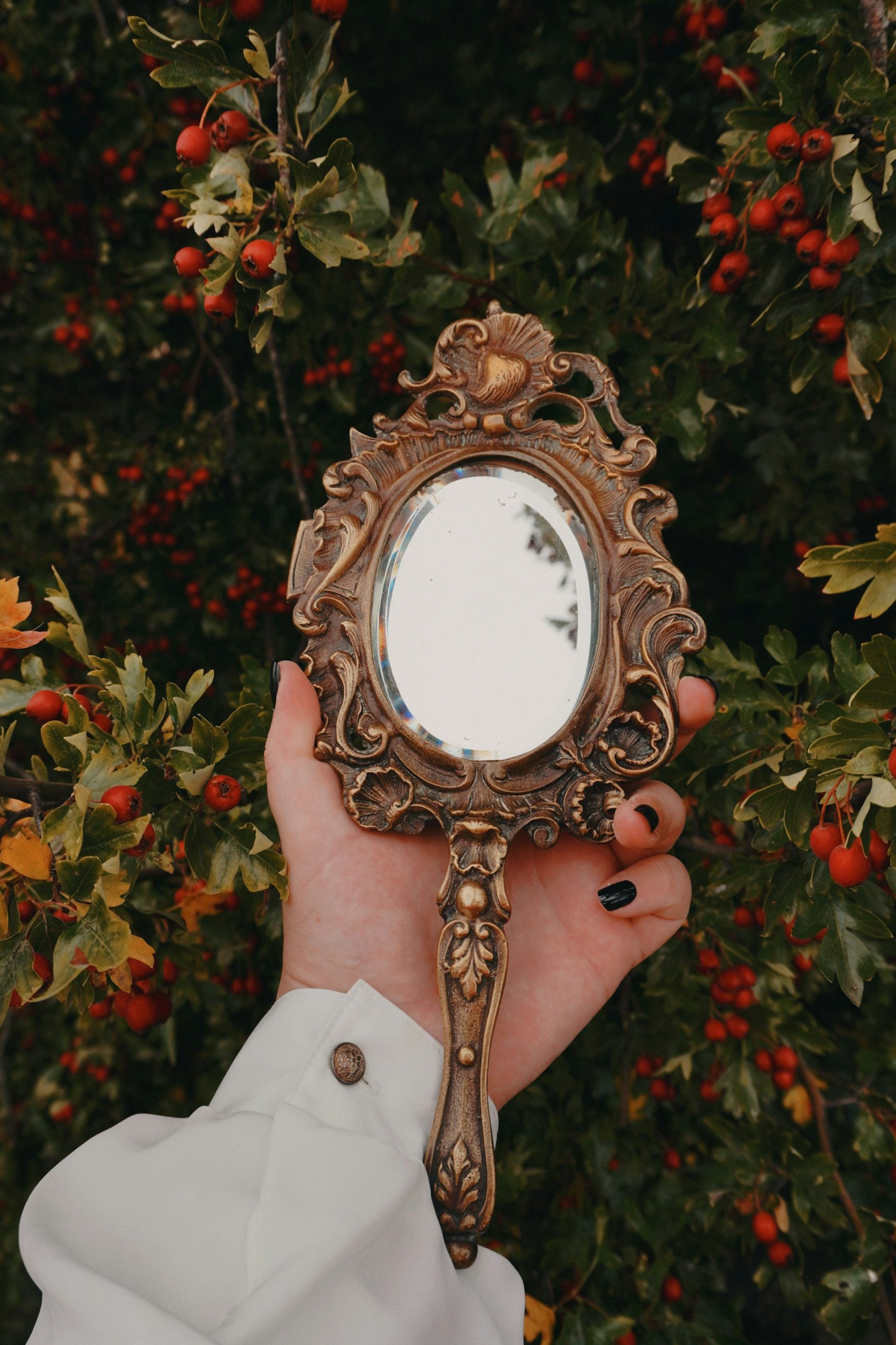 tooth-and-toad-JVgCJcfQvdE-unsplash